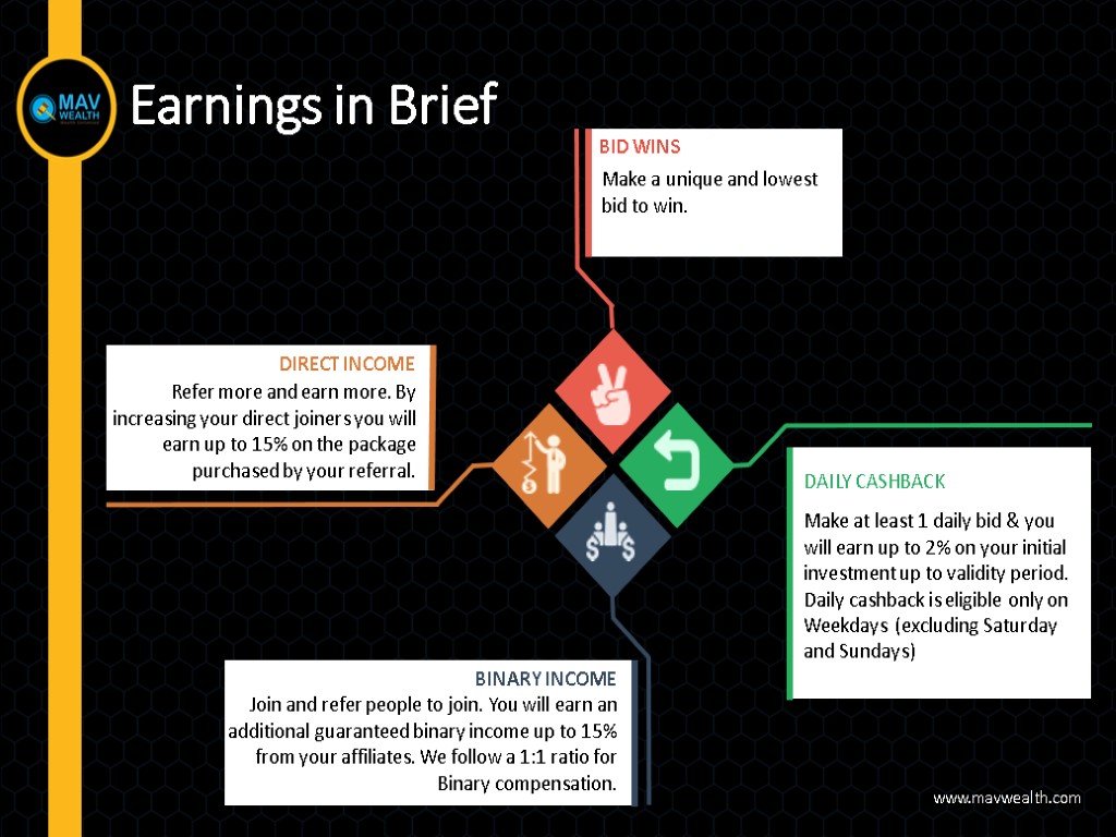 Earnings in Brief www.mavwealth.com